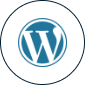 Wordpress Development Services