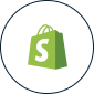 Shopify Web Development Agency